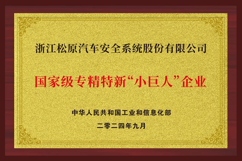 National-Level "Little Giant" Enterprise of Specialization, Refinement, Differentiation and Innovation